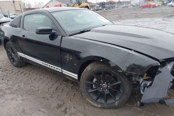 1ZVBP8ANXA5176990 | 2010 FORD MUSTANG