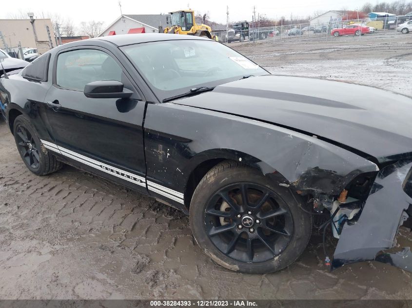 1ZVBP8ANXA5176990 | 2010 FORD MUSTANG