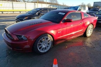 1ZVBP8CF4E5318570 | 2014 FORD MUSTANG GT