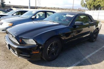 1ZVBP8EM8E5317126 | 2014 FORD MUSTANG