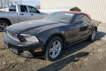 1ZVBP8EM9E5232179 | 2014 FORD MUSTANG