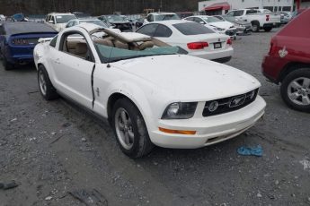 1ZVFT80N165110947 | 2006 FORD MUSTANG