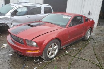 1ZVHT80N885178819 | 2016 FORD MUSTANG