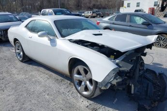 2C3CDYAG2DH520010 | 2013 DODGE CHALLENGER