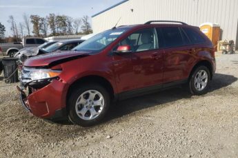 2FMDK3JC7EBB52283 | 2014 FORD EDGE SEL