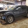 2T3C1RFV9MW148859 | 2021 TOYOTA RAV4 XLE P