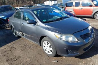 2T1BU4EE7AC502133 | 2010 TOYOTA COROLLA