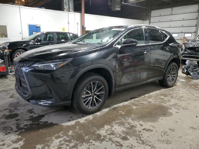 2T2AKCEZ9RC016915 | 2024 LEXUS NX 350H BA