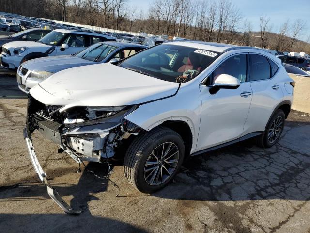 2T2GGCEZ1PC028596 | 2023 LEXUS NX 350