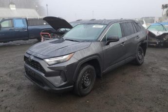 2T3F1RFV0PC381726 | 2023 TOYOTA RAV4 LE