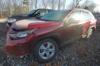 2T3MWRFVXKW014199 | 2019 TOYOTA RAV4 LE