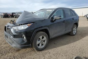 2T3P1RFV2KC005512 | 2019 TOYOTA RAV4 XLE