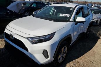 2T3P1RFV7PC339347 | 2023 TOYOTA RAV4 XLE