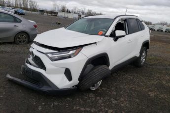 2T3P1RFV9PW383087 | 2023 TOYOTA RAV4 XLE