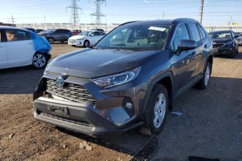 2T3RWRFV4LW071117 | 2020 TOYOTA RAV4 XLE