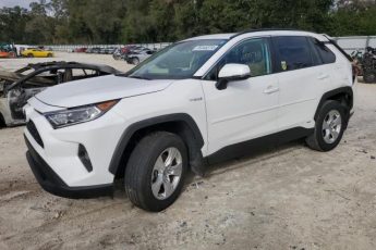 2T3RWRFV5KW040117 | 2019 TOYOTA RAV4 XLE