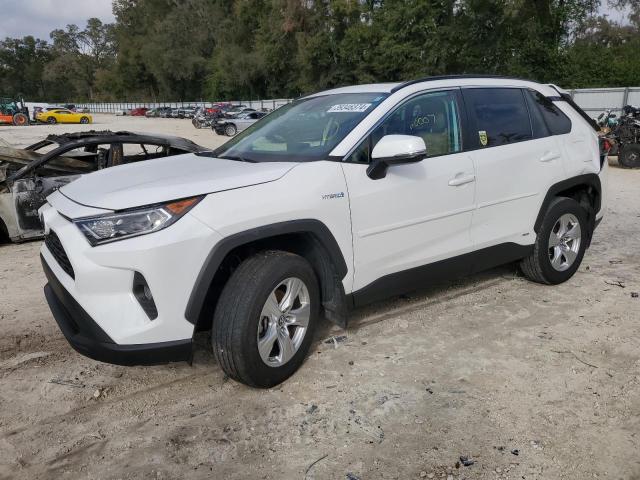 2T3RWRFV5KW040117 | 2019 TOYOTA RAV4 XLE