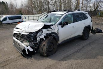 2T3RWRFV8LW071167 | 2020 TOYOTA RAV4 XLE