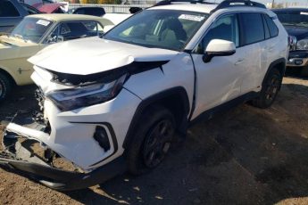 2T3UWRFV0PW155323 | 2023 TOYOTA RAV4 WOODL