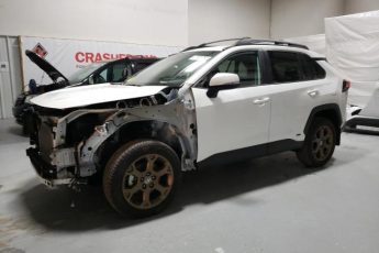 2T3UWRFV1PW151359 | 2023 TOYOTA RAV4 WOODL