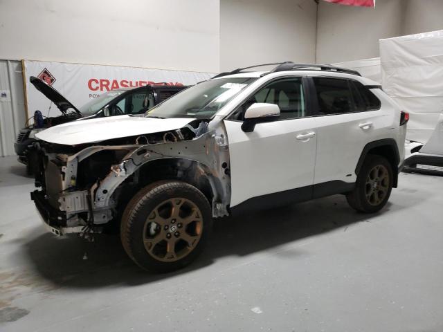 2T3UWRFV1PW151359 | 2023 TOYOTA RAV4 WOODL