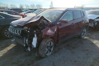 3C4NJDCB4MT566307 | 2021 JEEP COMPASS LI