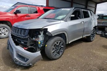 3C4NJDDB0LT184448 | 2020 JEEP COMPASS TR