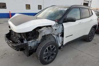 3C4NJDDB1KT670975 | 2019 JEEP COMPASS TR