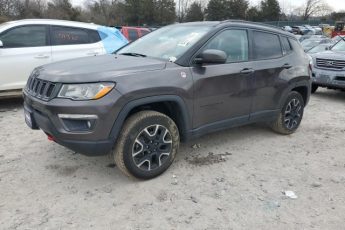 3C4NJDDB3KT790521 | 2019 JEEP COMPASS TR