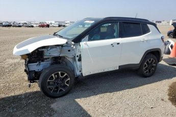 3C4NJDDB8KT630859 | 2019 JEEP COMPASS TR