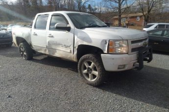 3GCPKSE36BG124005 | 2011 CHEVROLET SILVERADO 1500