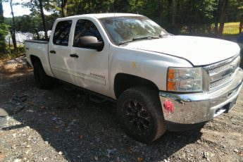 3GCPKSEA9DG111699 | 2013 CHEVROLET SILVERADO 1500