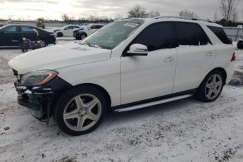 4JGDA2EB9FA503559 | 2015 MERCEDES-BENZ ML 350 BLU