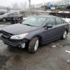 1N4AA6AP7HC444962 | 2017 NISSAN MAXIMA 3.5