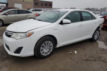 4T1BD1FK7EU103732 | 2014 TOYOTA CAMRY HYBR