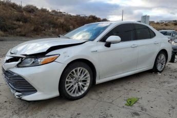 4T1F31AK7LU010279 | 2020 TOYOTA CAMRY XLE