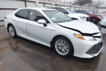 4T1F31AKXLU533439 | 2020 TOYOTA CAMRY