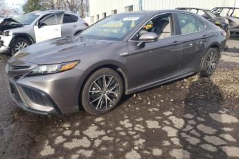 4T1G31AK5MU560344 | 2021 TOYOTA CAMRY SE