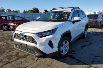 4T3MWRFV9LU008976 | 2020 TOYOTA RAV4 LE