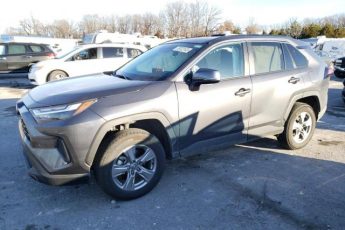 4T3RWRFVXPU100061 | 2023 TOYOTA RAV4 XLE