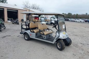 52RG61226HG007409 | 2017 SLSV GOLF CART