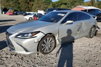 58ABZ1B17KU034821 | 2019 LEXUS ES 350