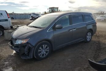 5FNRL5H66EB003675 | 2014 HONDA ODYSSEY EX