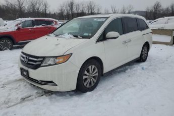 5FNRL5H69EB053034 | 2014 HONDA ODYSSEY EX