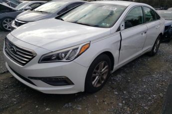 5NPE24AA0GH431062 | 2016 HYUNDAI SONATA ECO