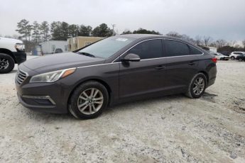 5NPE24AA3FH115590 | 2015 HYUNDAI SONATA ECO