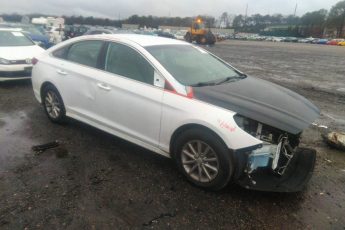 5NPE24AF0JH689794 | 2018 HYUNDAI SONATA