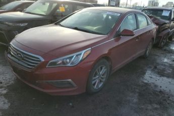 5NPE24AF1FH141326 | 2015 HYUNDAI SONATA SE