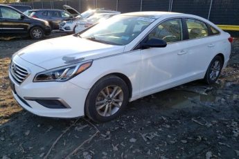 5NPE24AF2GH264036 | 2016 HYUNDAI SONATA SE