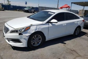 5NPE24AF3GH407236 | 2016 HYUNDAI SONATA SE